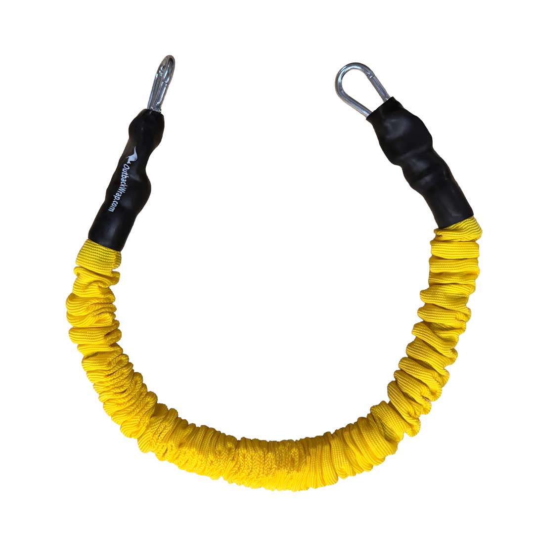Stretchy Strap with Carabiner Hooks