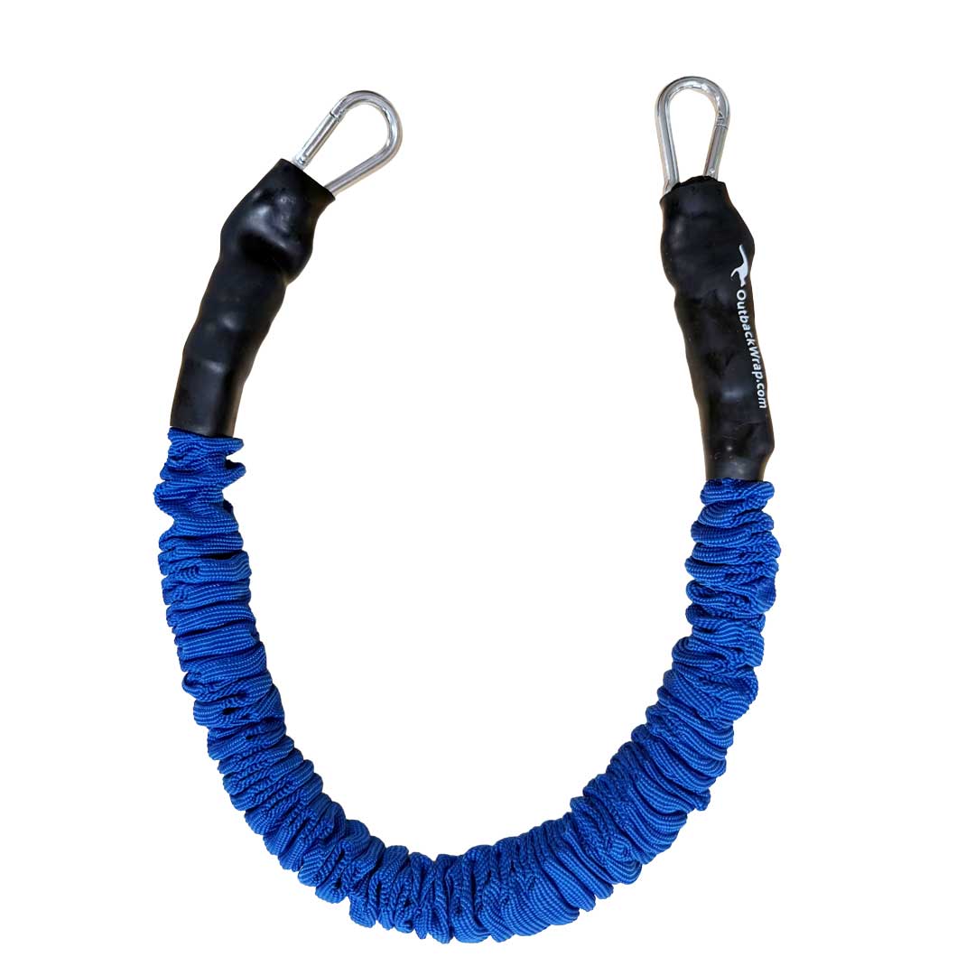 Stretchy Strap with Carabiner Hooks
